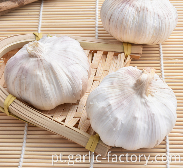 Small packing pure white Garlic